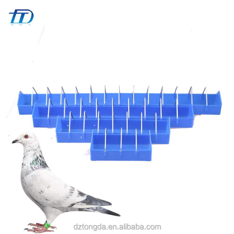 automatic pigeon feeder