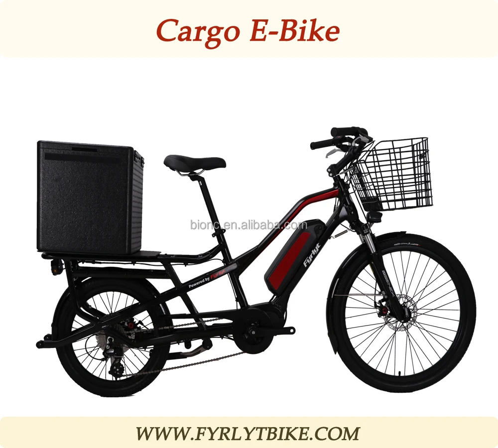 2018 New But Hot Cargo E-bike/delivery 