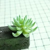 DR071 verde