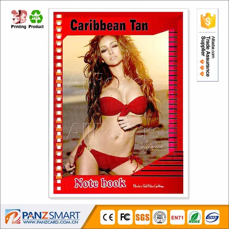 Factory wholesale A4 size 3D flip pictures lenticular Picture 3d picture sexy girl with home Decoration
