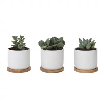 Set of 3 Ceramic Pots for Plants 4 inch Catcus Flower Planter Drainage Hole White Ceramic Succulent Pots with Bamboo Tray Decor