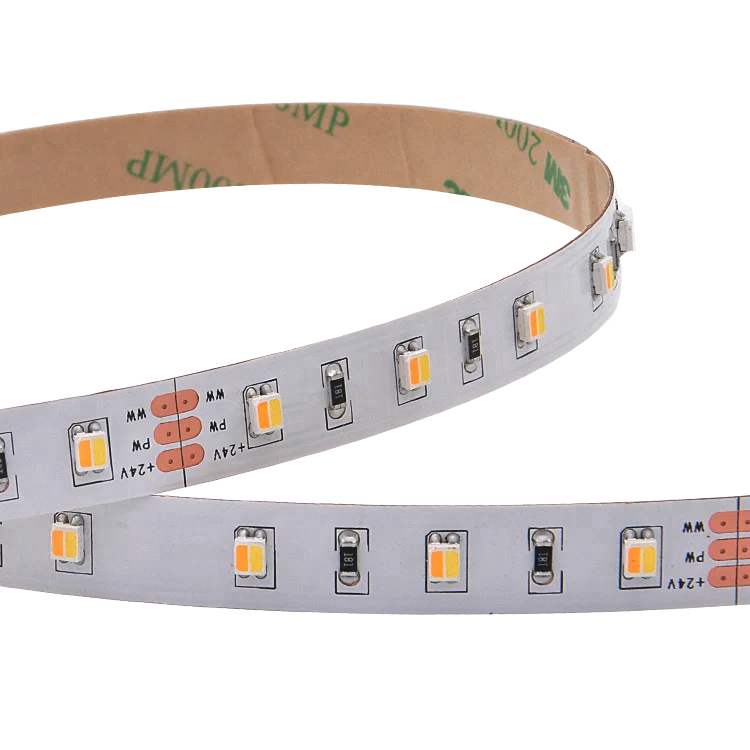2 in 1 Dual Chip Bicolor Led Strip Cct Adjustable 3527 3528 Led Tape