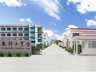 Yancheng Dragonpower Electric Co., Ltd. 1