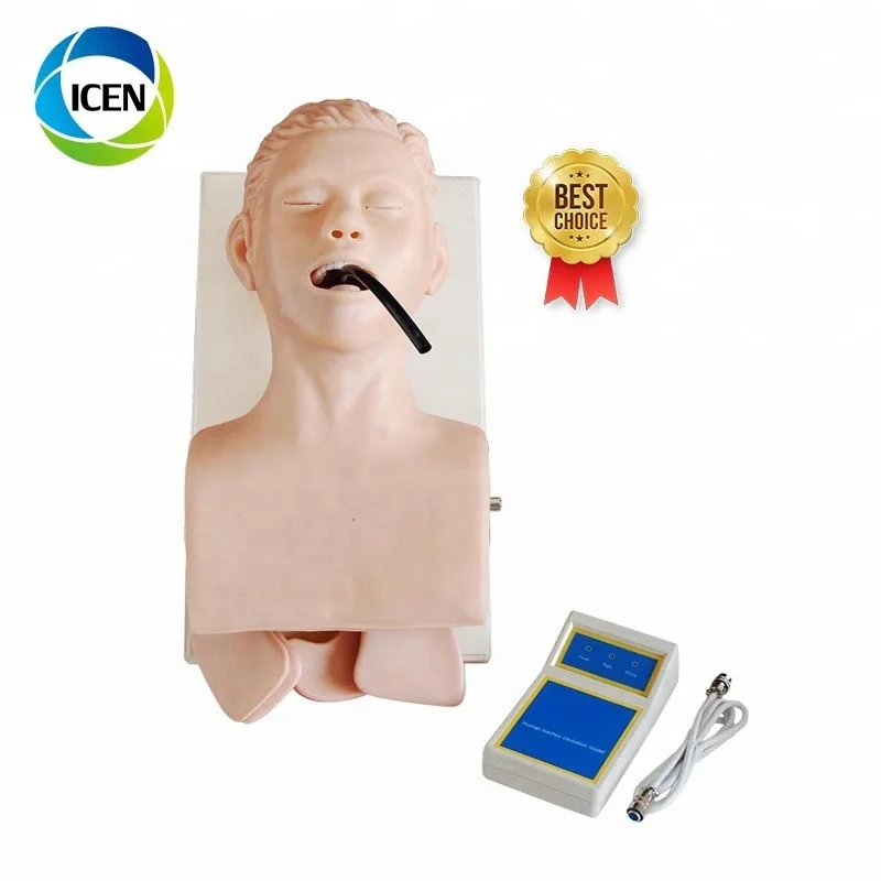 IN-406medical преподавания тренировки интубации модель человека интубации трахеи Манекен Модель новорожденных дыхательные пути интубации