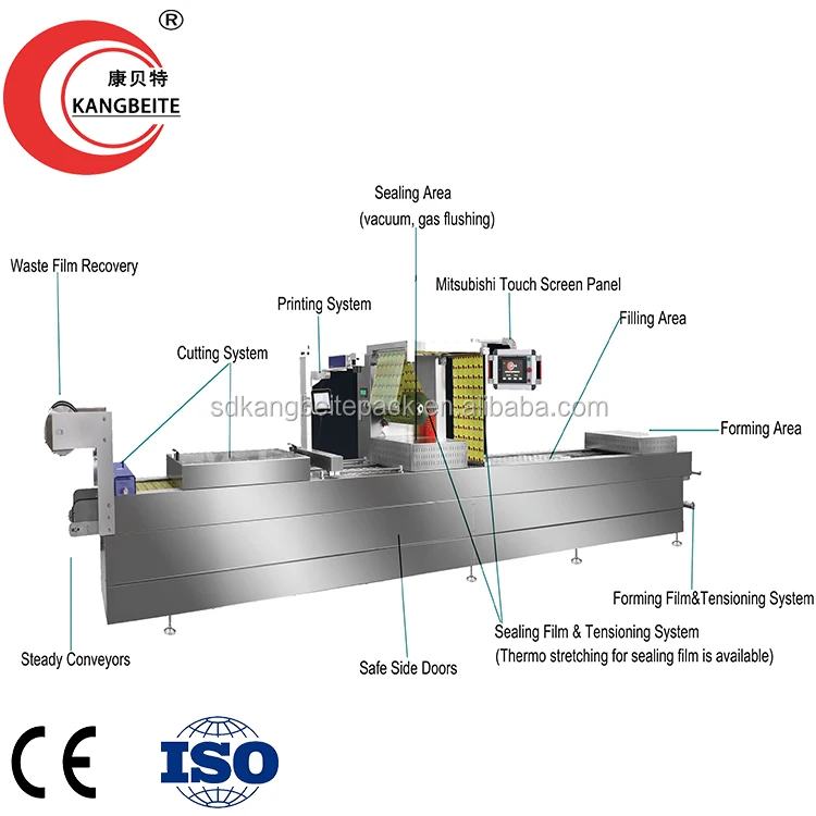 Tilapia Fish Fillet Packing Machine Food Vacuum Packaging Machine