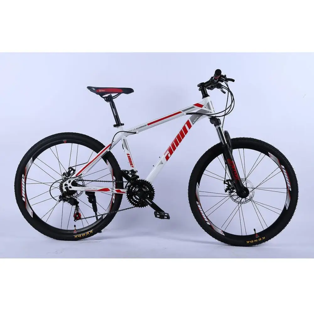 cheap cycle