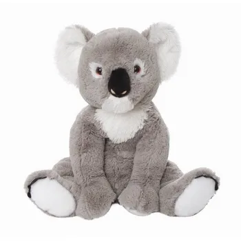 teddy koala