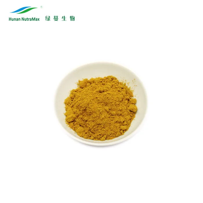 Herbal Extract Ginger Extract Powder Natural 5% Gingerol