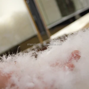 Wholesale Duck Feather 80% 20% Feather Eiderdown Machine Washable White Duck Down for Quilts Pillows Cushions