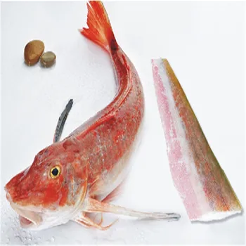 Frozen red gurnard fillets fish Lepidotrigla microptera seafrozen IQF for market