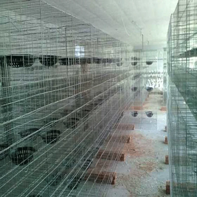 2024 Design Mesh Wire Breeding Cage for Pigeons