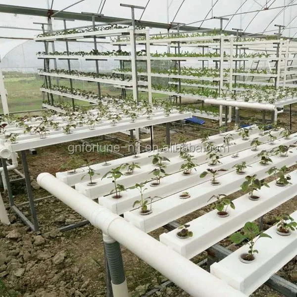 Homemade Hydroponics System PVC Hydroponics Pipe