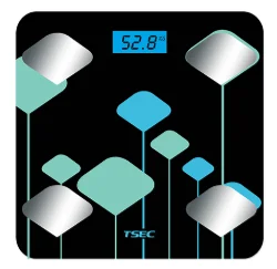 2021 New style wholesale electronic bluetooh bath body weight scale