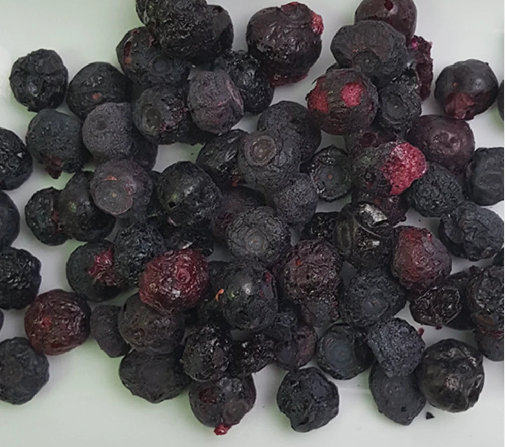 Free Additives1kg Frozen Dried Raw Pure Vaccinium Corymbosum Berry FD Dried Blueberry Fruits for Sale