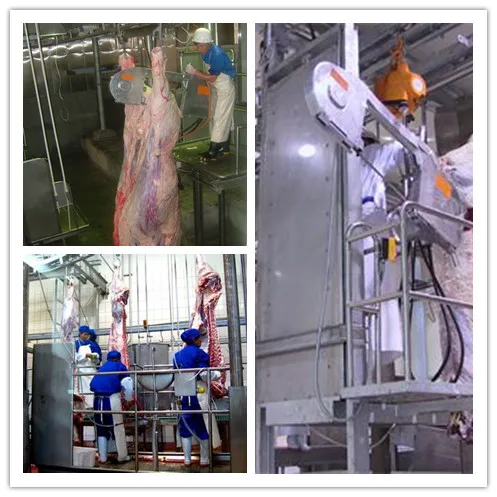 Cow slaughterhouse production line large animal slaughterhouse slaughtering equipment