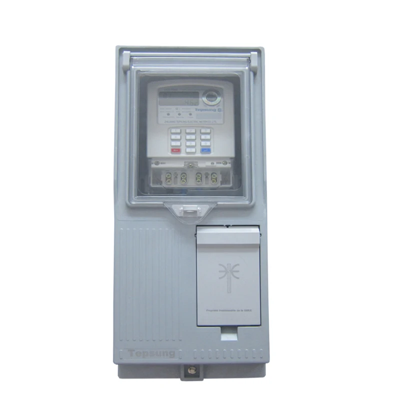 Box for Electricity Meter