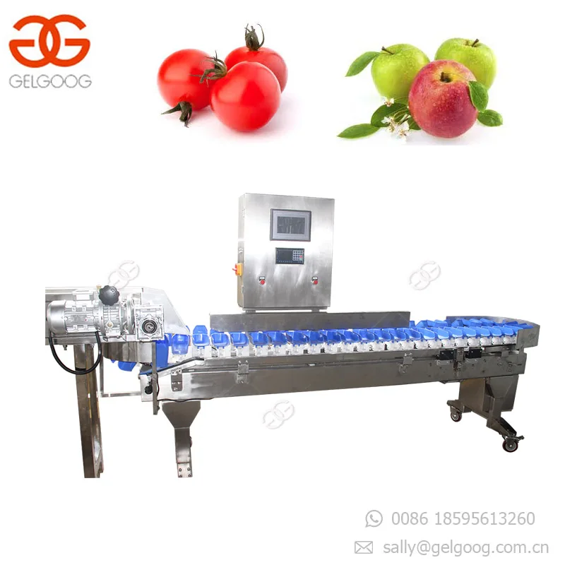 Automatic Papaya Cucumber Sorting Machine Japan Cucumber Grading Machine