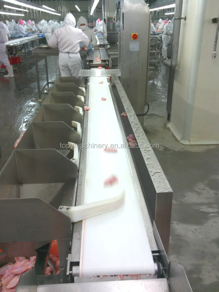 Автоматический контрольный весы из нержавеющей стали, машина для проверки веса и сортировки, контрольные весы для упаковочной системы