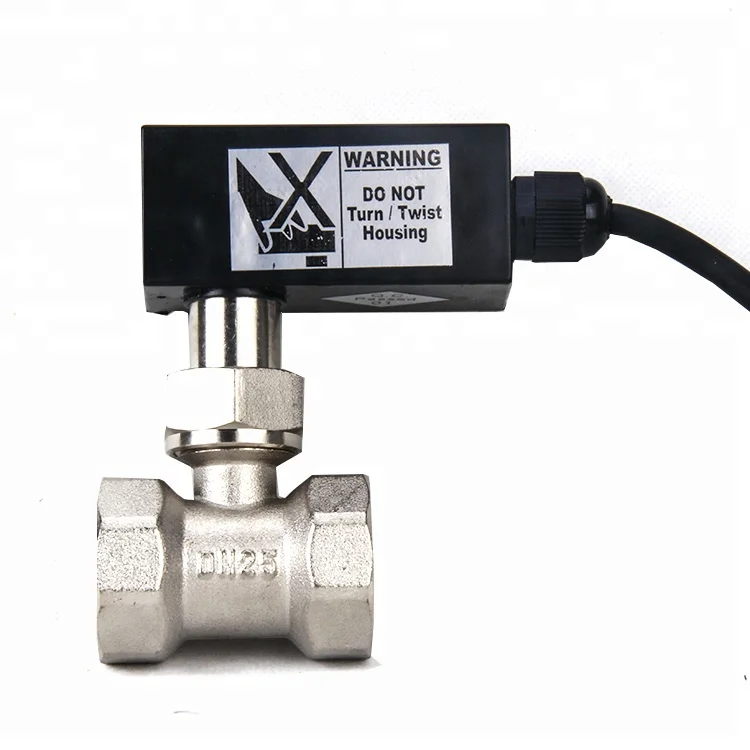 Automatic Paddle Flow Brass Water Flow Switch