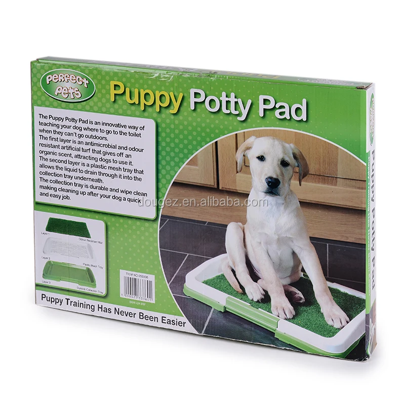 Indoor Potty Training Dog Will Not Go Potty Outside Poop Potty