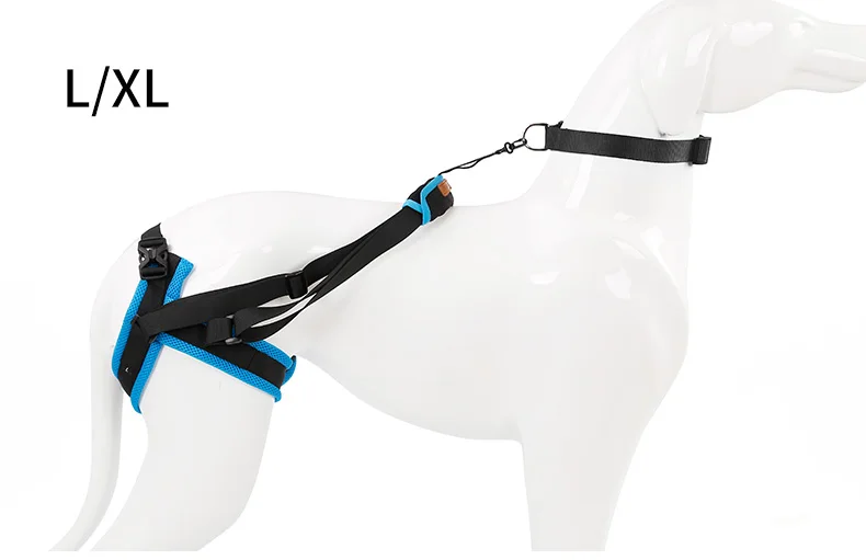 dog support sling petsmart