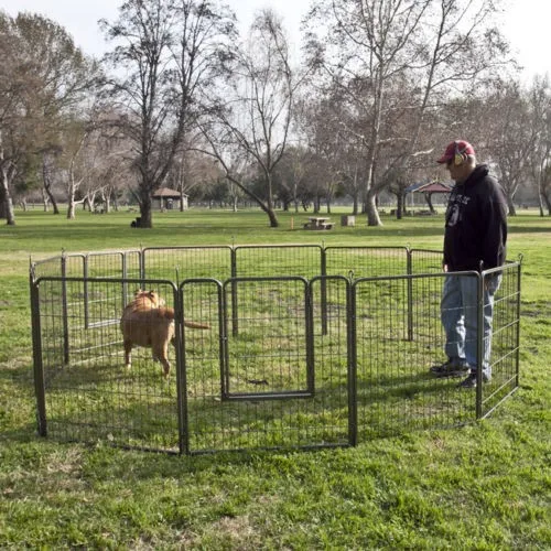 large dog playpen outdoor