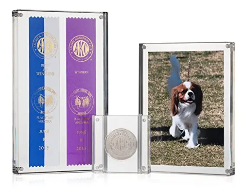Custom Magnetic Clear Coin Display Frame Acrylic Plastic Coin Medal Display Holder Case Perfect Protection for Poker Chip