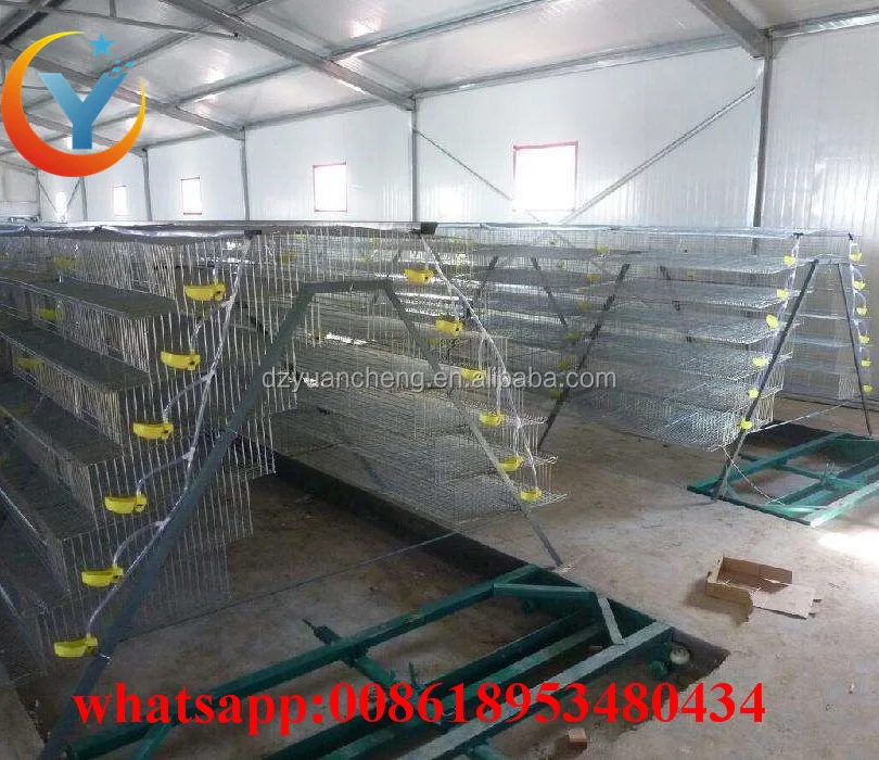 H Type Or Battery Quail Cages For Egg Layer Quail And Broiler Quail