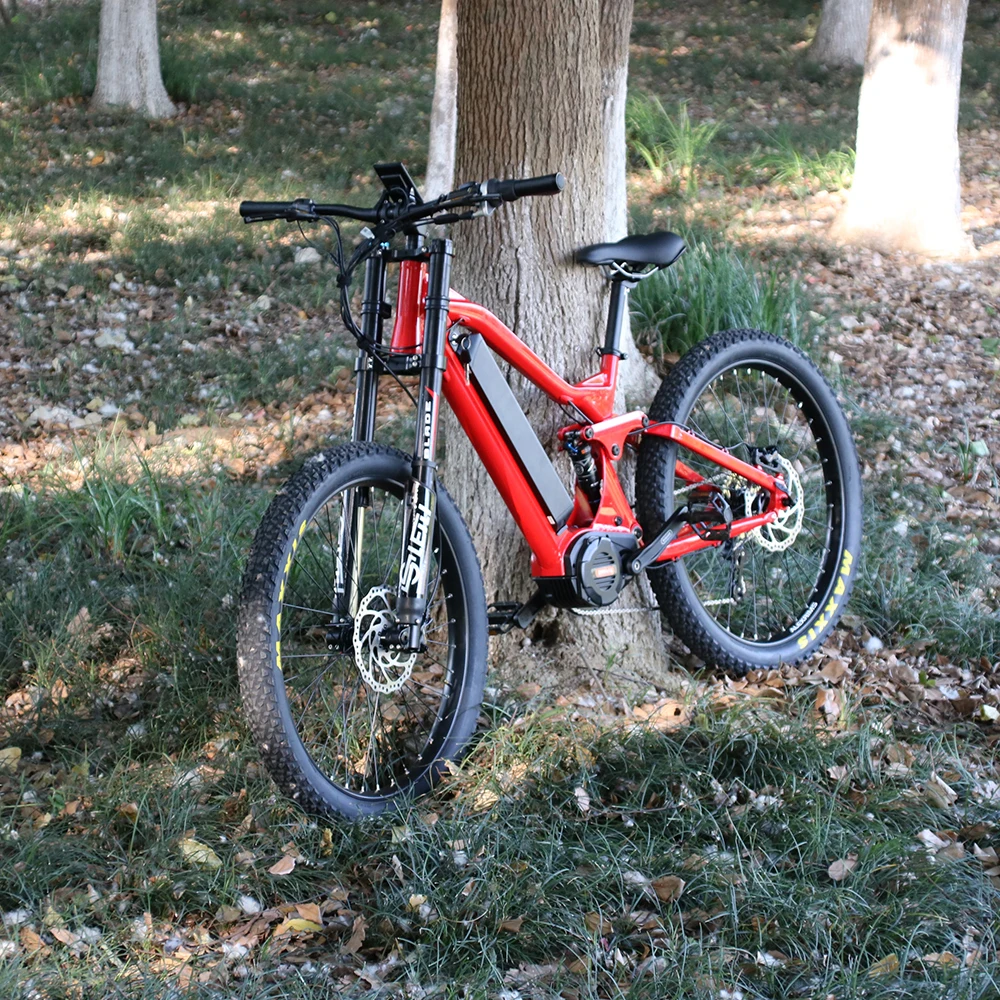 Electric Bicycle,Mid Drive Motor 1000w 