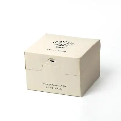 Custom Plastic Boxes With Logo 2024