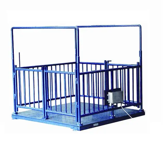 LOCOSC Livestock Goat Rfid Digital Weighing Scale Live Cattle Weighing Scales
