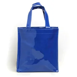 21ss kolor PVC Bag