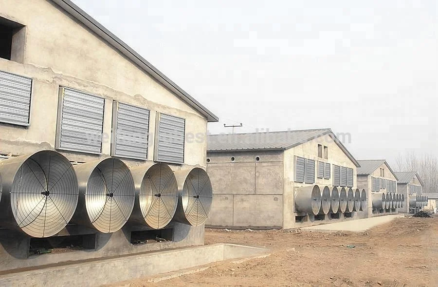 Chicken Farming Poultry Control Shed Automatic Layer Battery Cage Equipment for Egg Laying Hens