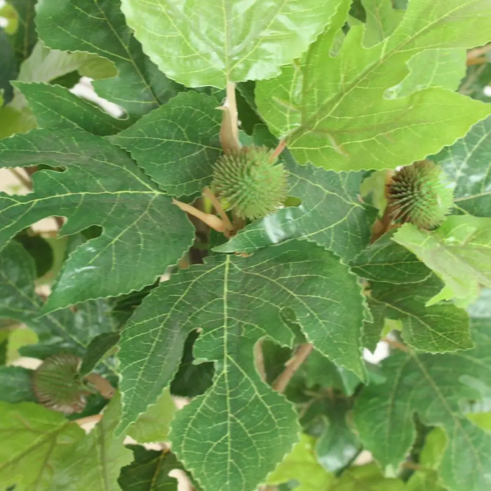 5727 Artificial Nut Plant Artificial Lemon Tree