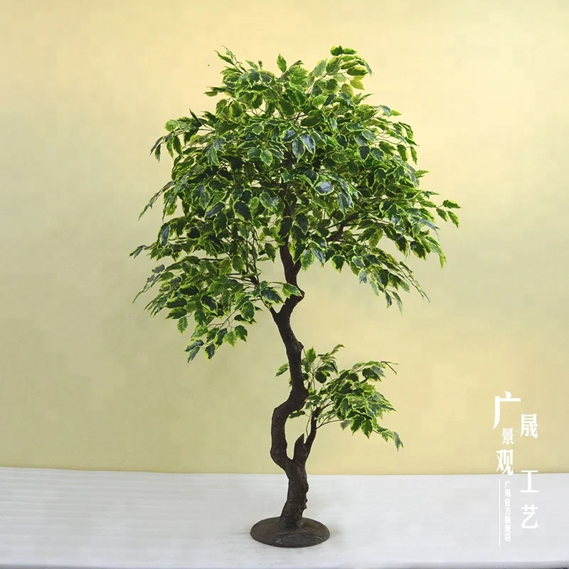 onleme ogrenim ucreti bicim ic mekan agac fiyatlari lonegrovedentist com