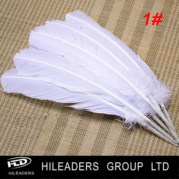 where can i buy white feathers in bulk