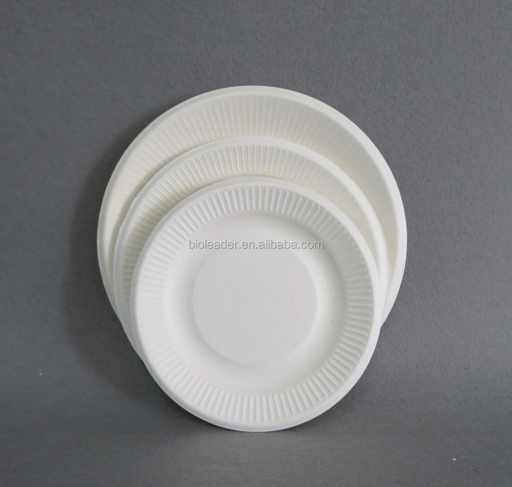 Disposable Organic 10-inch Medium Size Lunch Oval Plates Biodegradable  Cartoon Fish Pattern for Home Hotel Restaurant Use