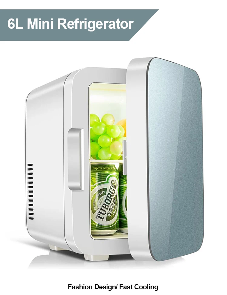 6l Mini Refrigerator Without Compressor Dc Ac For Beauty Skin Care Make