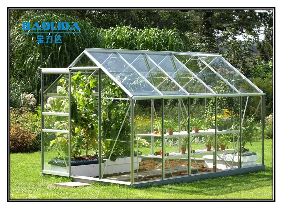 Small Steel and Glass Commercial Garden Greenhouses for Agriculture Use