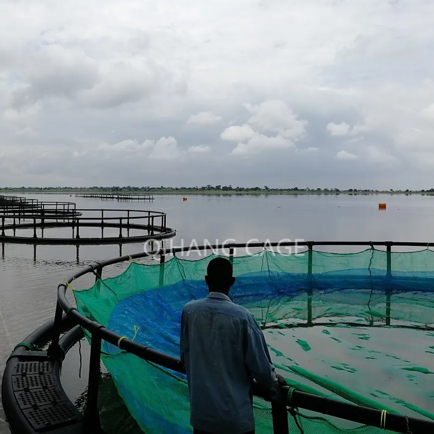 HDPE Floating Tilapia Fish Cages for Lake River Fish Farming Cage in Africa