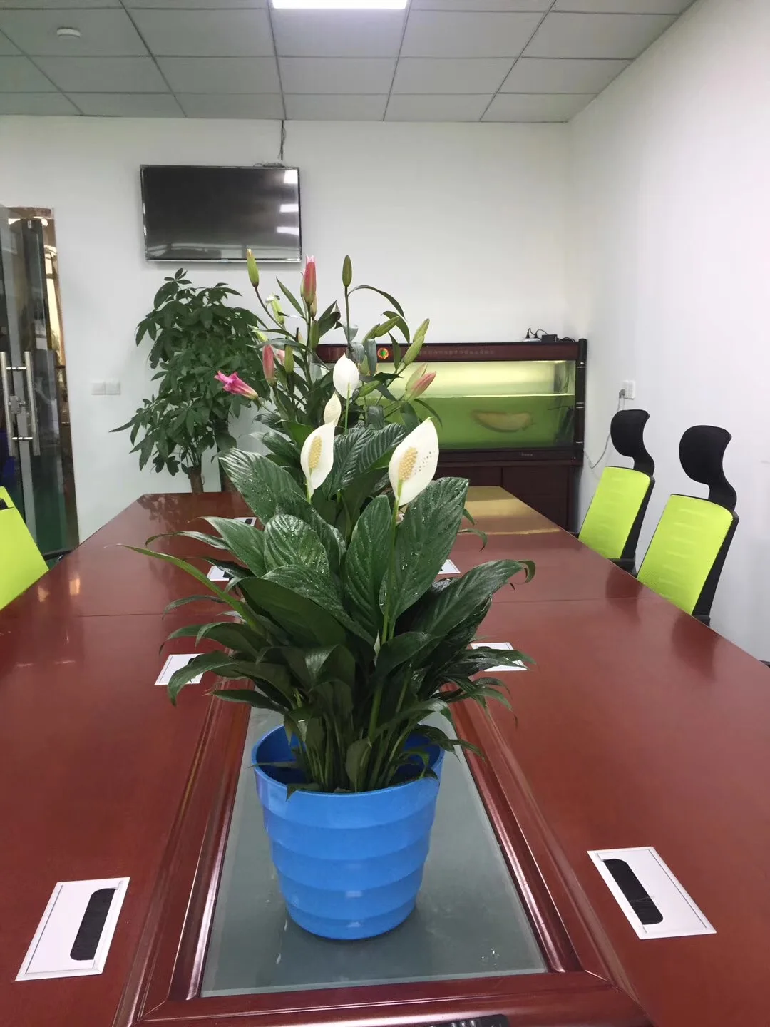 Fuzhou Duoguo Arts And Cafts Co., Ltd. 1