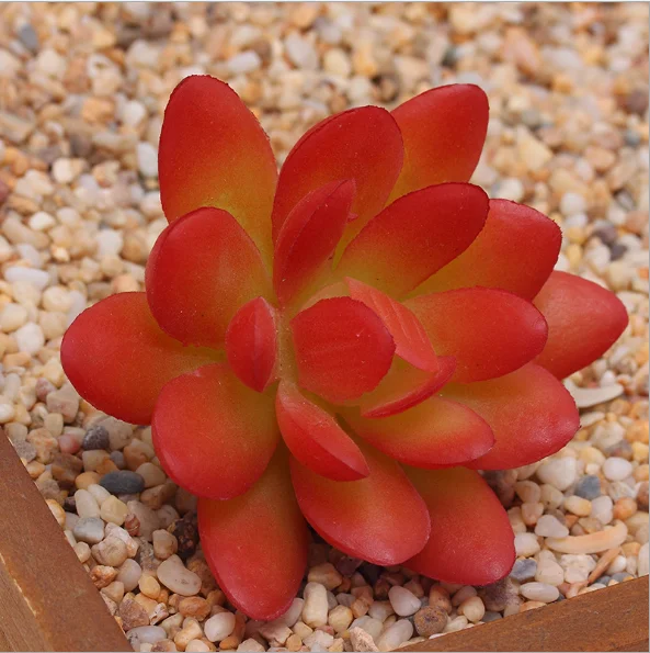 Artificial Succulent Plants Unpotted Assorted Faux Succulent Succulent Picks for Floral Arrangement Home Decoration