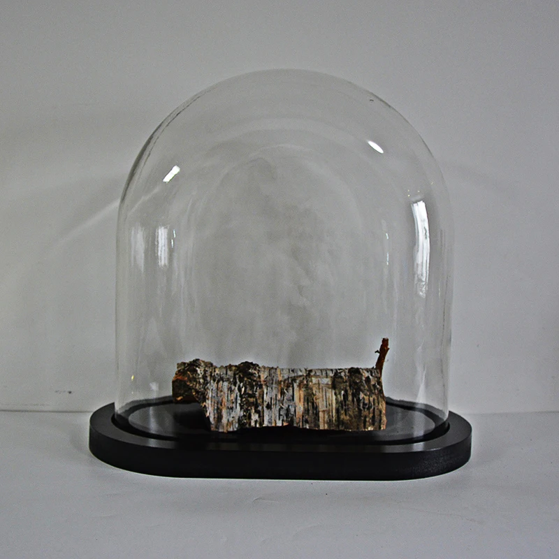 EMH Dôme ovale en verre avec base en bois Look vintage Grand format 35 x 36,5 x 18,5 cm
