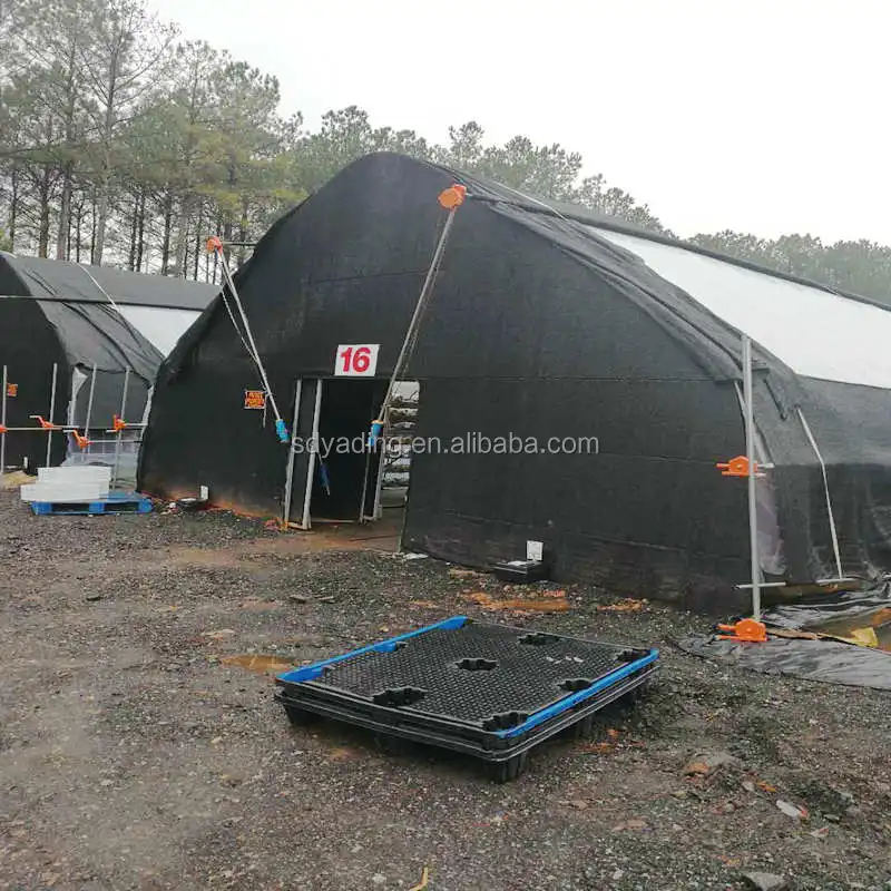 Cheap Modular Mushroom Greenhouse