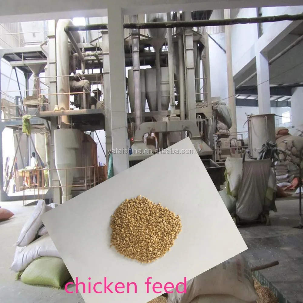 best price organic chicken feed for animal feed