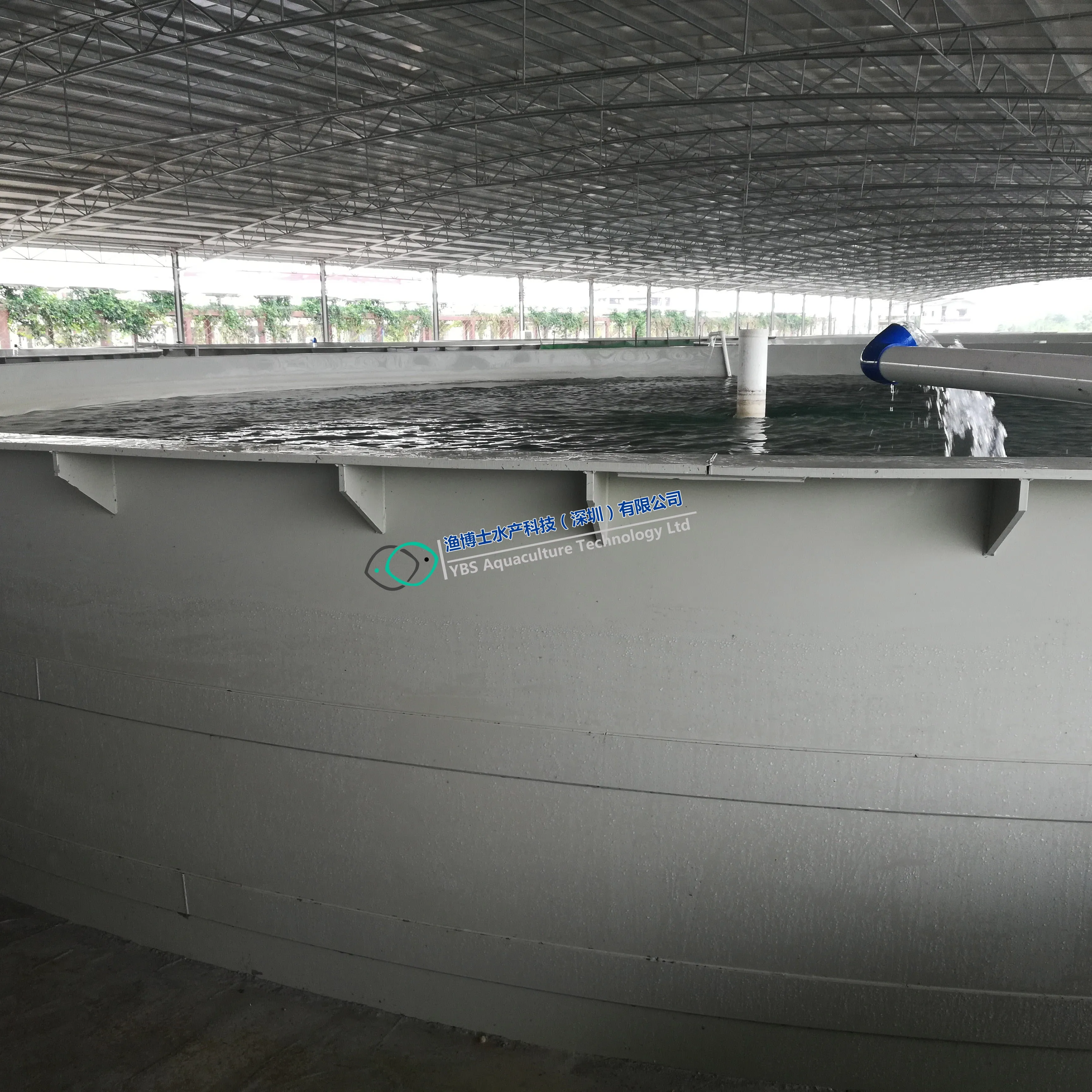 Cold Water Feeding Salmon Recirculating Aquaculture System in Landbase