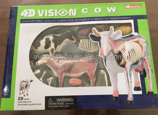 
V-AM048 4D мастер животное корова образец анатомическая модель для обучения 