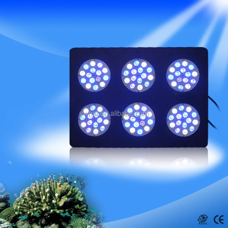 led coral grow lights