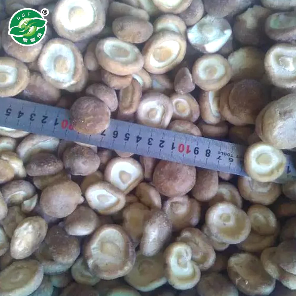 Standard exported packing HACCP frozen vegetable mushrooms shiitake