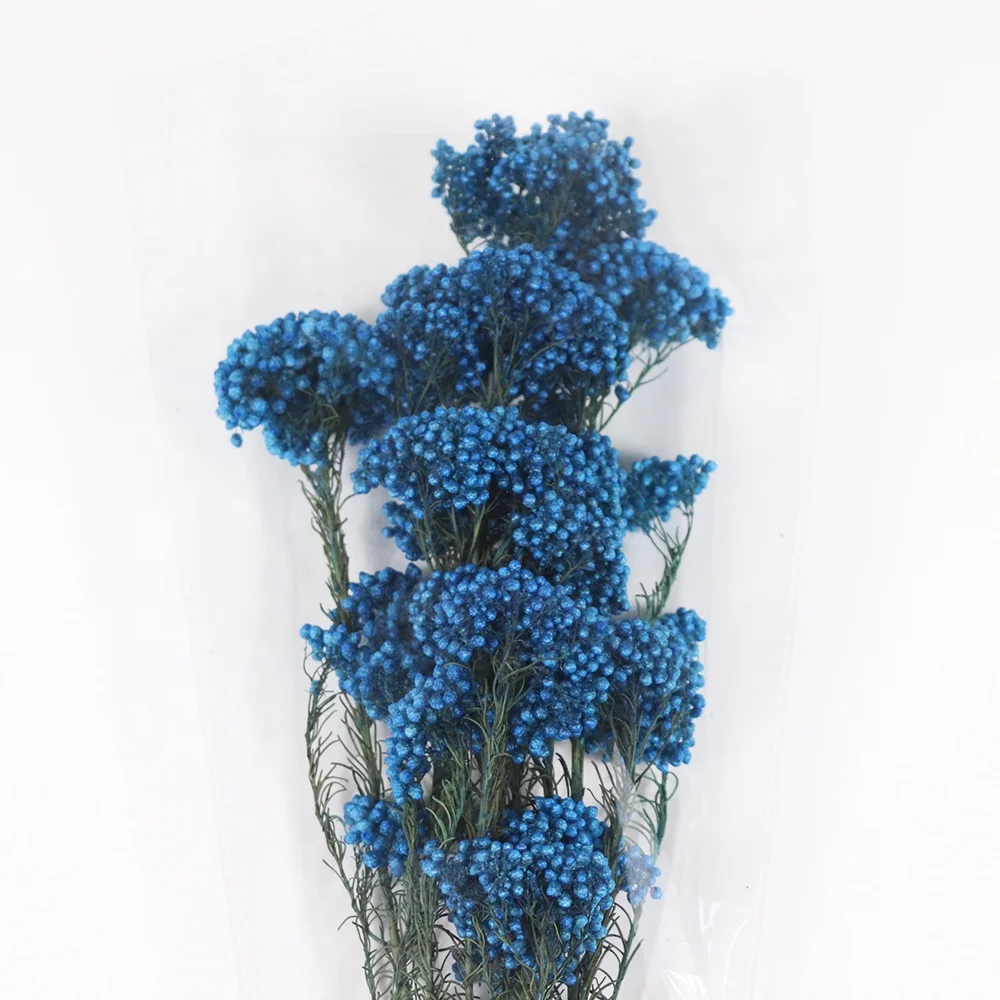 Source Factory Dried Rice Flowers for Home Decoration Dried Flowers Grass Decor Millet Flowers